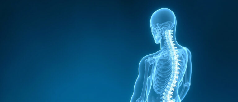 Foramen vertébral : anatomie, fonction et pathologies associées
