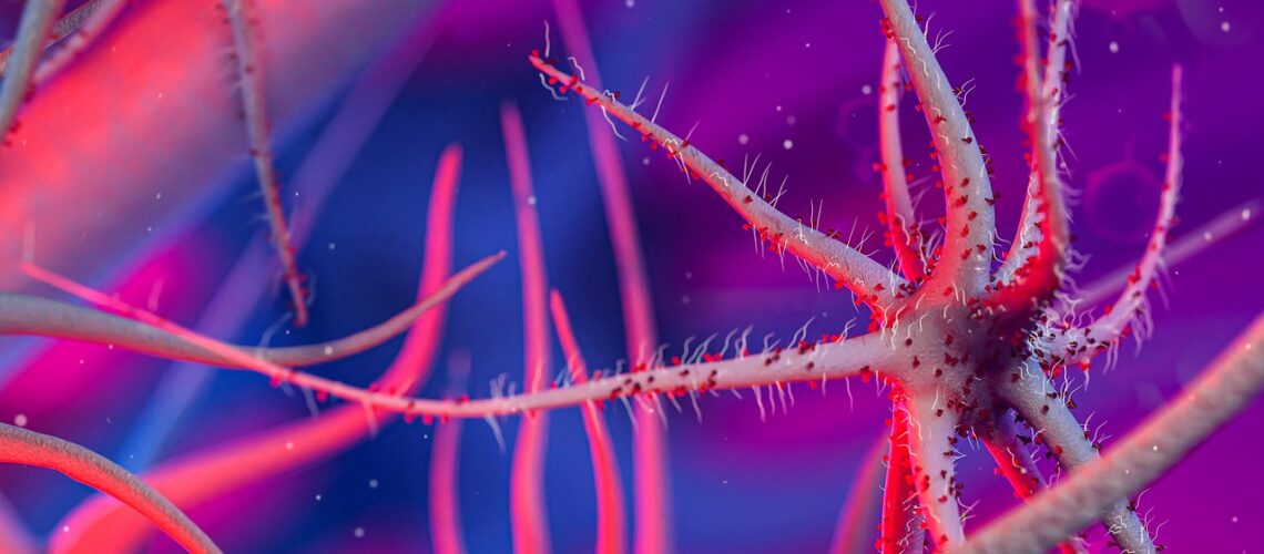 Grippe B Yamagata : tout savoir sur ce lignage viral