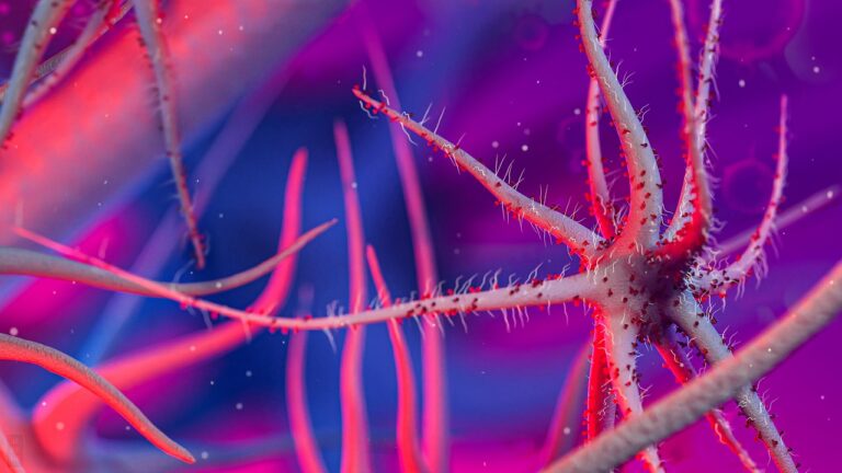 Grippe B Yamagata : tout savoir sur ce lignage viral