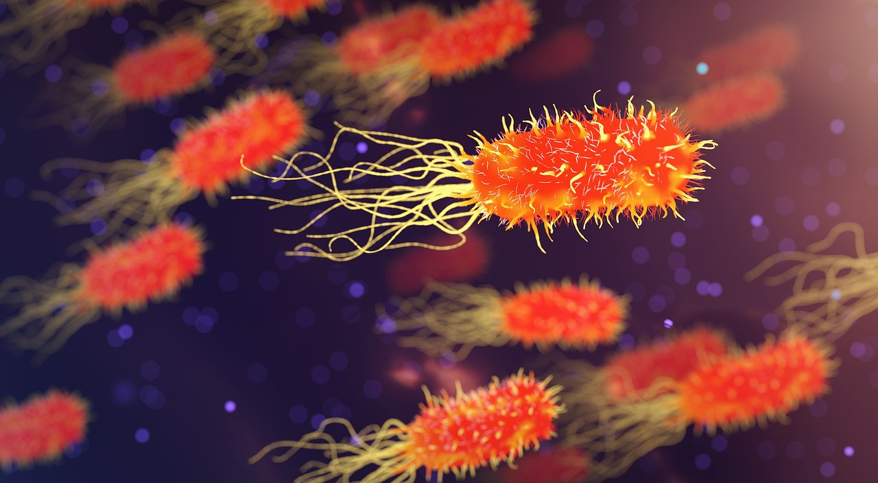 Haemophilus influenzae : tout savoir sur cette bactérie et ses infections