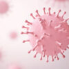 HPV 66 : définition, transmission, symptômes, diagnostic et prévention