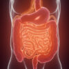 Ileus paralytique : causes, symptômes, diagnostic et traitement