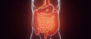 Ileus paralytique : causes, symptômes, diagnostic et traitement
