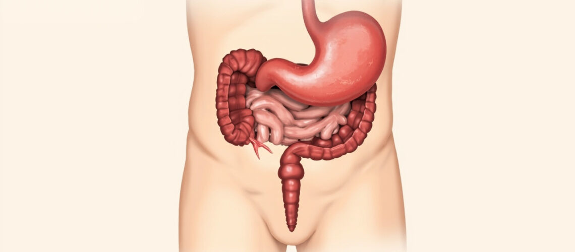 Incontinence fécale : causes, diagnostic et traitements efficaces