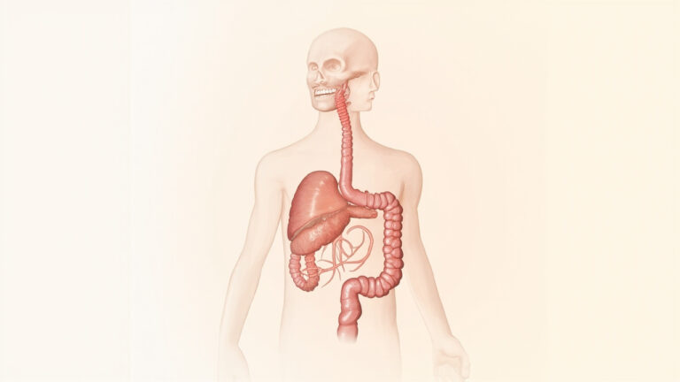 La cystinose : comprendre cette maladie génétique rare et lysosomale