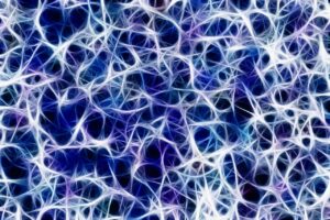 La fente synaptique : anatomie et fonctionnement de la transmission nerveuse