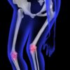 La Fibula (Péroné) : Anatomie Complète, Fonctions et Pathologies