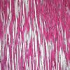Close-up microscopic view showcasing the unique structure of plant tissue with vibrant pink coloring.