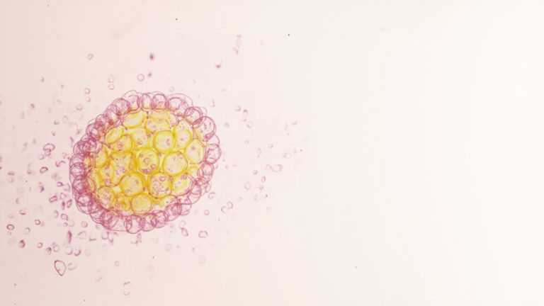 L&rsquo;agent de l&rsquo;insomnie fatale familiale : comprendre le prion responsable