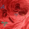 L'anémie inflammatoire : comprendre, diagnostiquer et traiter cette forme particulière d'anémie