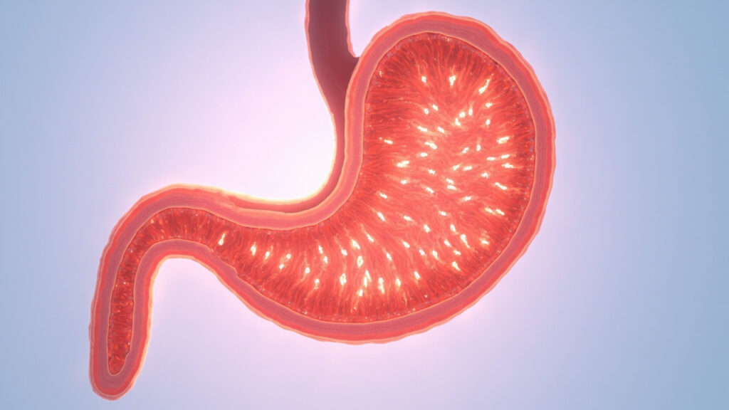 Lansoprazole : un inhibiteur de la pompe à protons contre l’acidité gastrique : vue générale