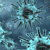 L'antigène protecteur : mécanisme, vaccination et applications médicales