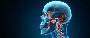 L'artère ophtalmique : anatomie, fonction et pathologies associées