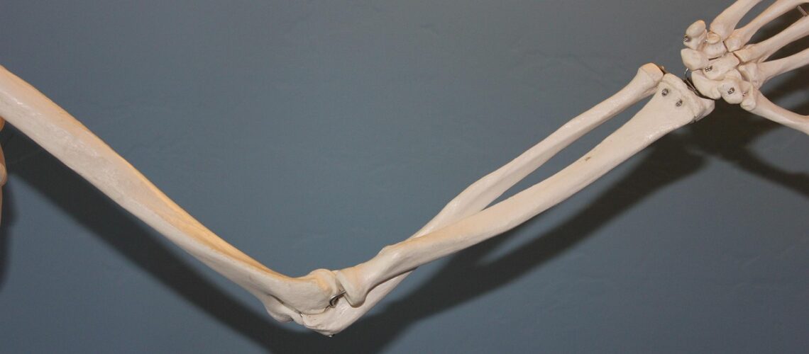 L'articulation huméro-radiale : anatomie, fonction et pathologies courantes