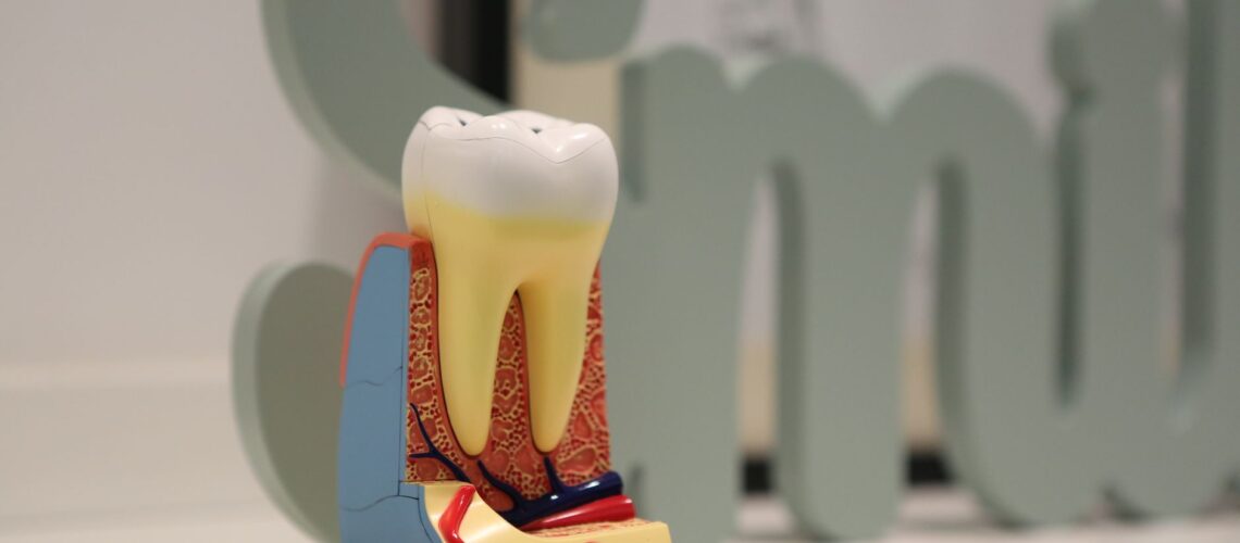 Close-up of a realistic dental model showing tooth anatomy with the word 'smile' in the background.