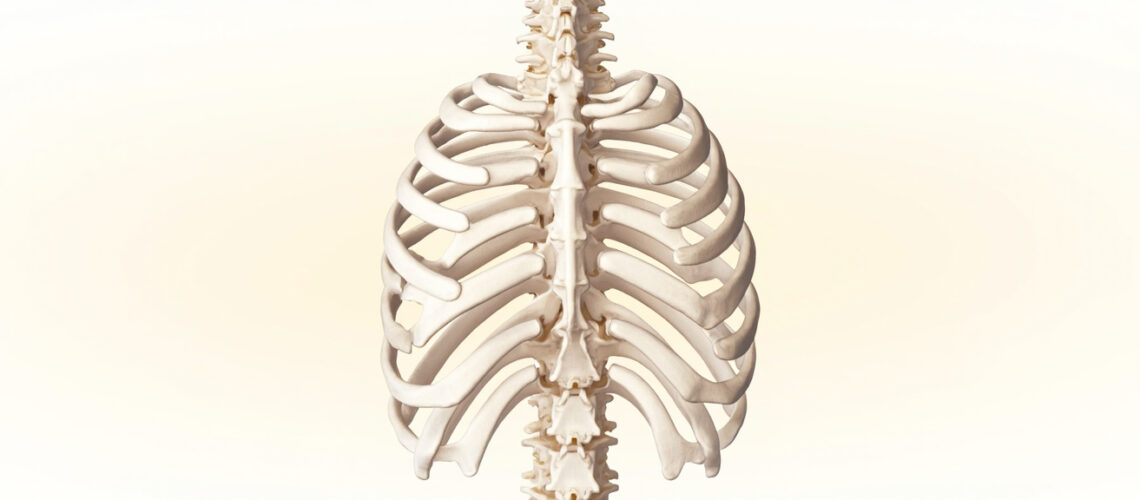 Le col de la côte : anatomie, fonction et pathologies associées