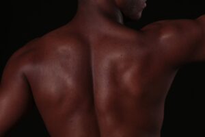 Le grand dorsal : anatomie complète, fonctions et santé de ce muscle essentiel