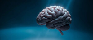 Le gyrus fusiforme : anatomie, fonctions et troubles associés