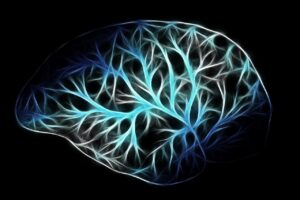 Le Neurone : Structure, Fonction et Importance dans le Système Nerveux