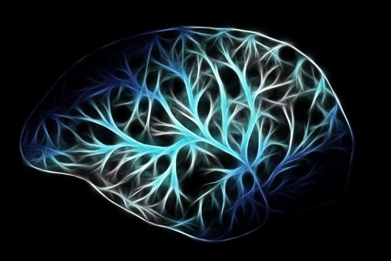 Le Neurone : Structure, Fonction et Importance dans le Système Nerveux