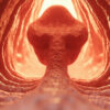Le récessus costodiaphragmatique : anatomie, fonction et importance clinique