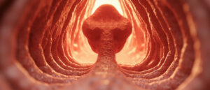 Le récessus costodiaphragmatique : anatomie, fonction et importance clinique