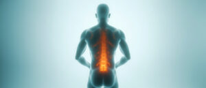 Le Sacrum : Anatomie complète, fonctions et pathologies