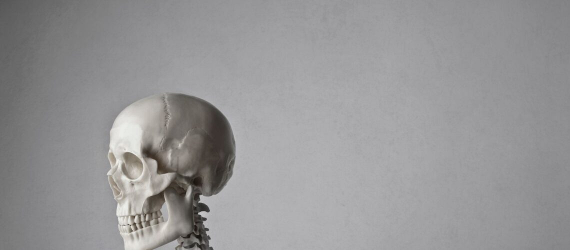 Close-up of a human skeleton model against a gray background, emphasizing anatomy.