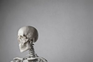 Le Sinciput : Anatomie, Fonctions et Importance Clinique