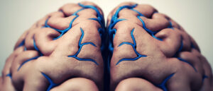 Le sinus sagittal supérieur : anatomie, fonction et pathologies