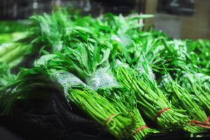 Légumes verts et facteurs de risque : ce qu'il faut savoir pour une consommation sûre