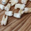 A detailed close-up of multiple extracted human teeth arranged on a wooden background surface.
