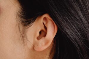Les glandes cerumineuses : anatomie, fonction et pathologies