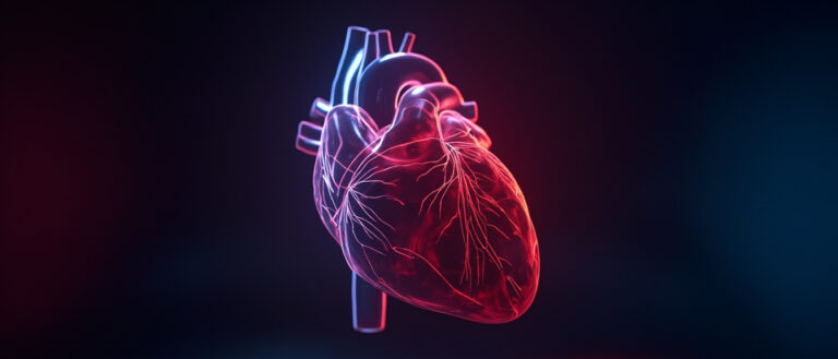 Les sinus de Valsalva : anatomie, fonction et pathologies associées
