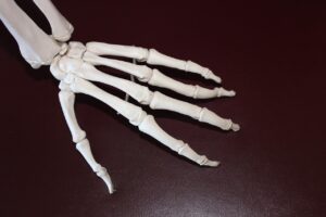 Manganèse et santé osseuse : pronostic et impact sur les os