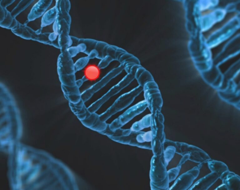 Mucopolysaccharidose : comprendre ces maladies génétiques rares