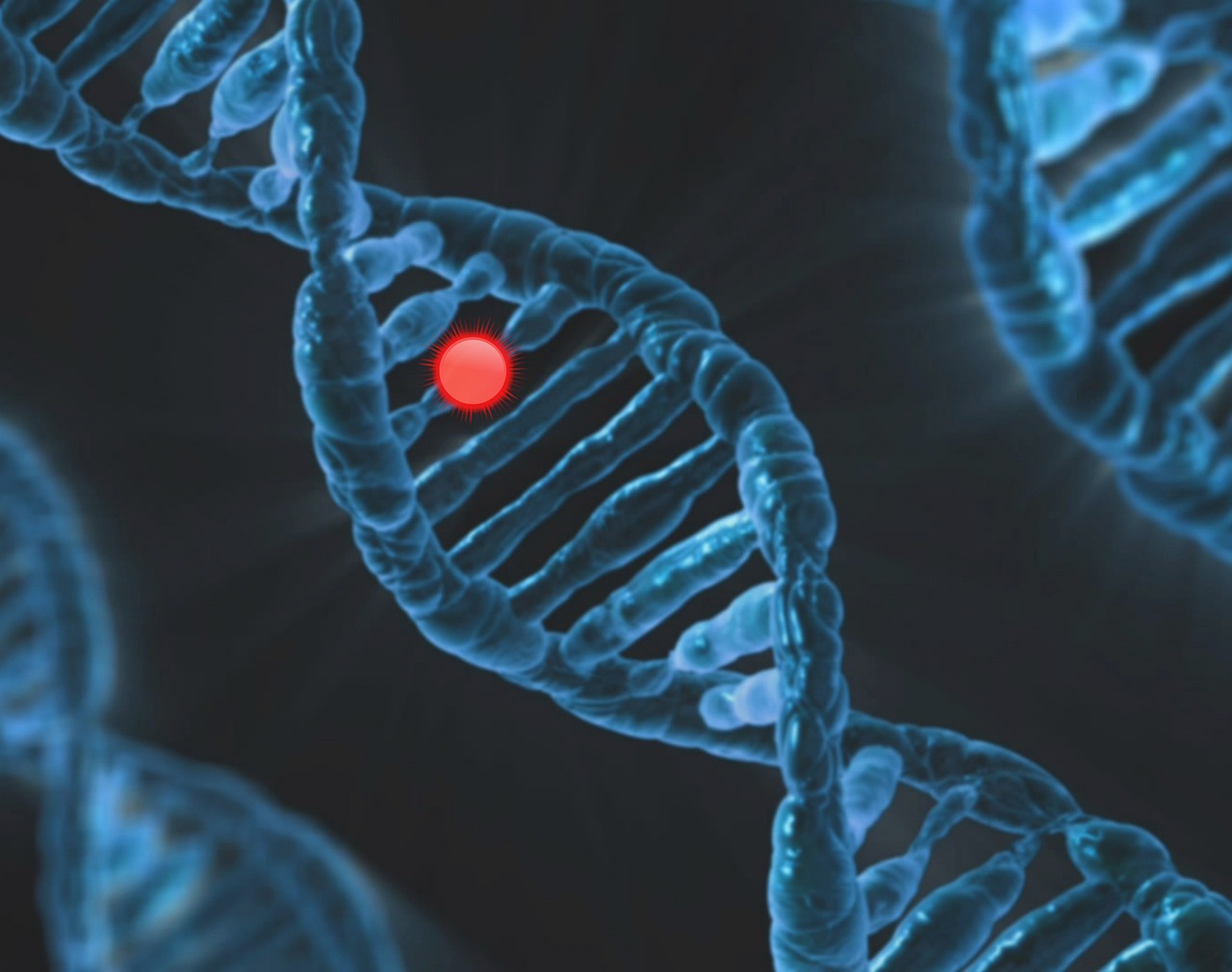 Mucopolysaccharidose : comprendre ces maladies génétiques rares