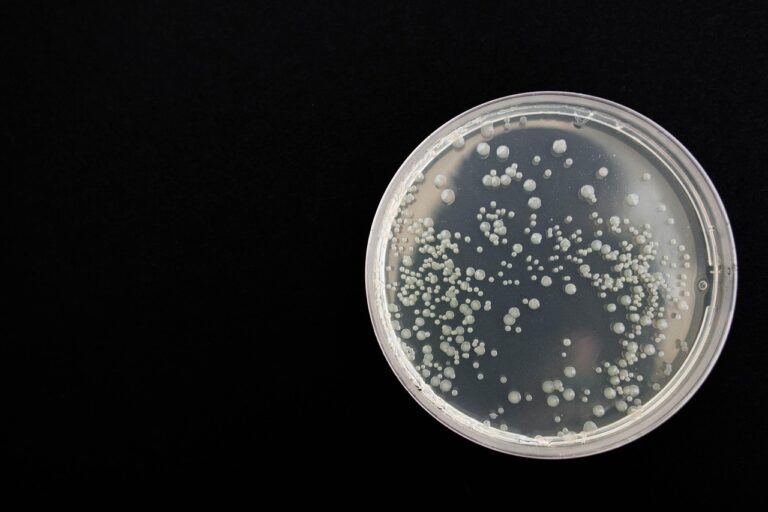 Mycobacterium scrofulaceum : comprendre cette mycobactérie atypique