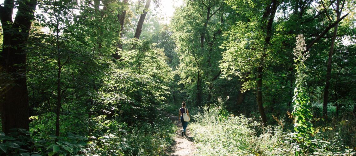 A person walking along a sunlit trail in a lush green forest, capturing nature's tranquility.