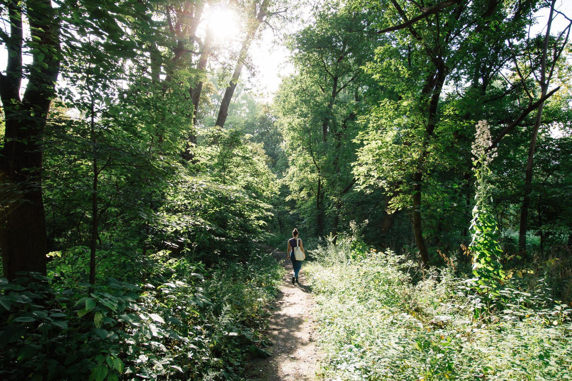 Nature et bien-être : comment l’environnement naturel prévient les maladies