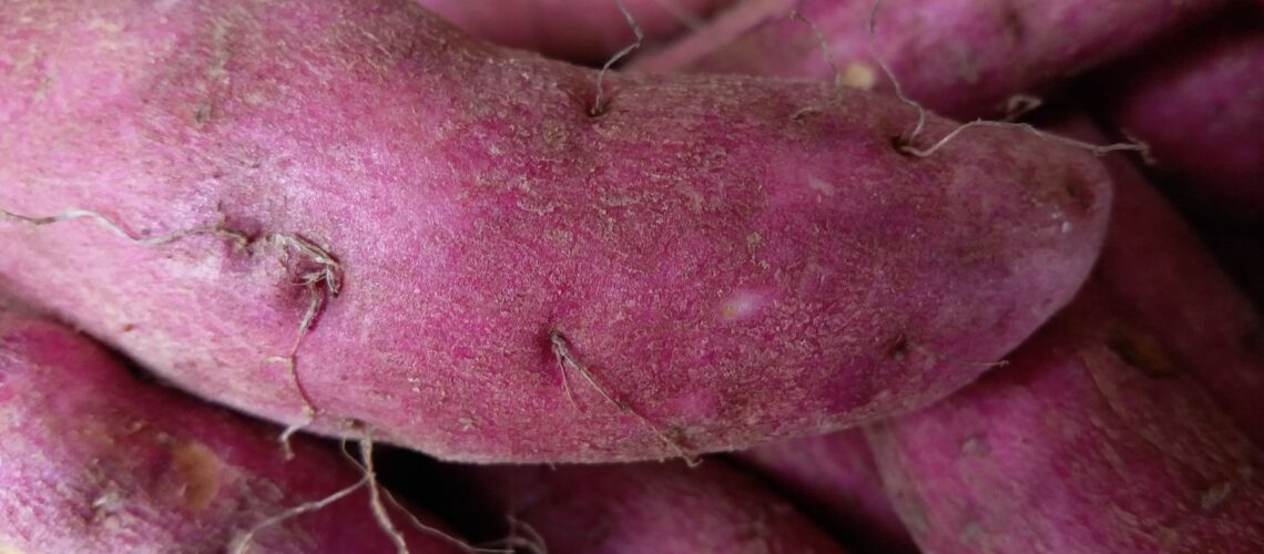 Close-up image of fresh purple sweet potatoes, showcasing their texture and color in detail.