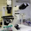 Persistance bactérienne : comprendre ces bactéries invisibles qui résistent aux antibiotiques