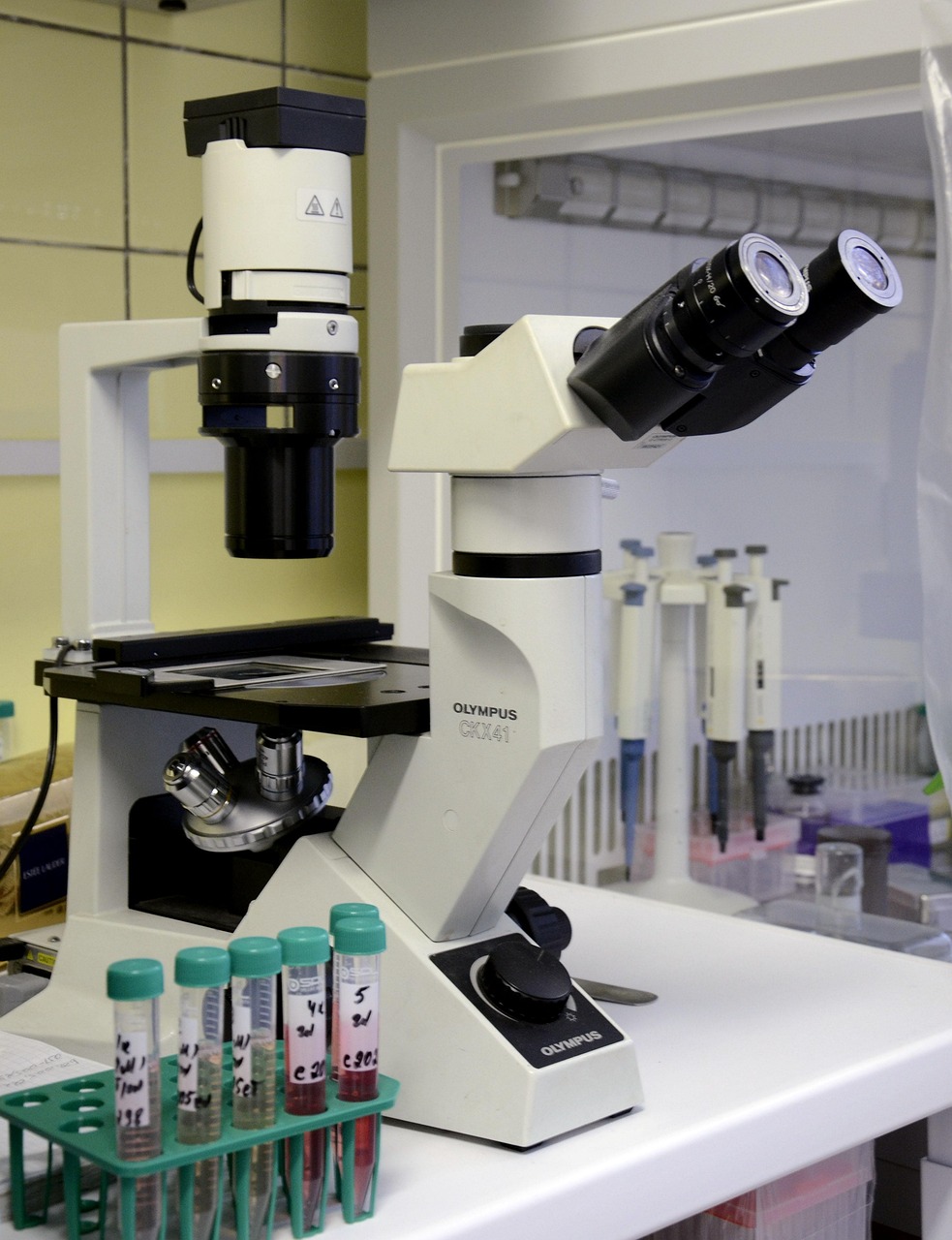 Persistance bactérienne : comprendre ces bactéries invisibles qui résistent aux antibiotiques