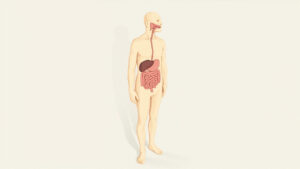 Pica : causes, symptômes et traitements efficaces