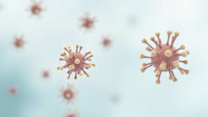 Picornavirus : caractéristiques, maladies et prévention