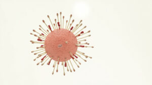 Poxvirus : définition, maladies, transmission et prévention