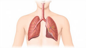 Protéinose alvéolaire pulmonaire : causes, symptômes et traitements