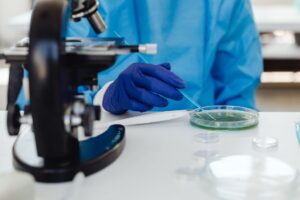 Providencia rettgeri : bactérie opportuniste, infections et résistance aux antibiotiques