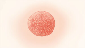 Roseolovirus : tout savoir sur le virus de la roséole infantile