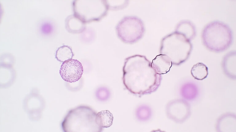Rotavirus G1 : comprendre le génotype le plus répandu de la gastro-entérite infantile